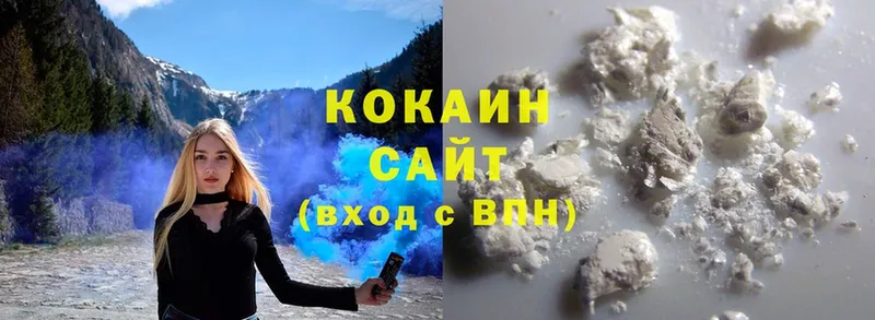 дарк нет как зайти  купить   Нахабино  Cocaine Fish Scale 