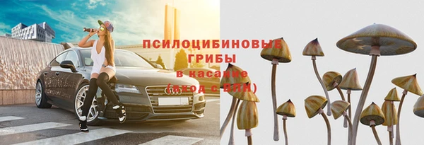 мдпв Медногорск