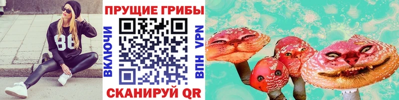 Псилоцибиновые грибы мухоморы Нахабино